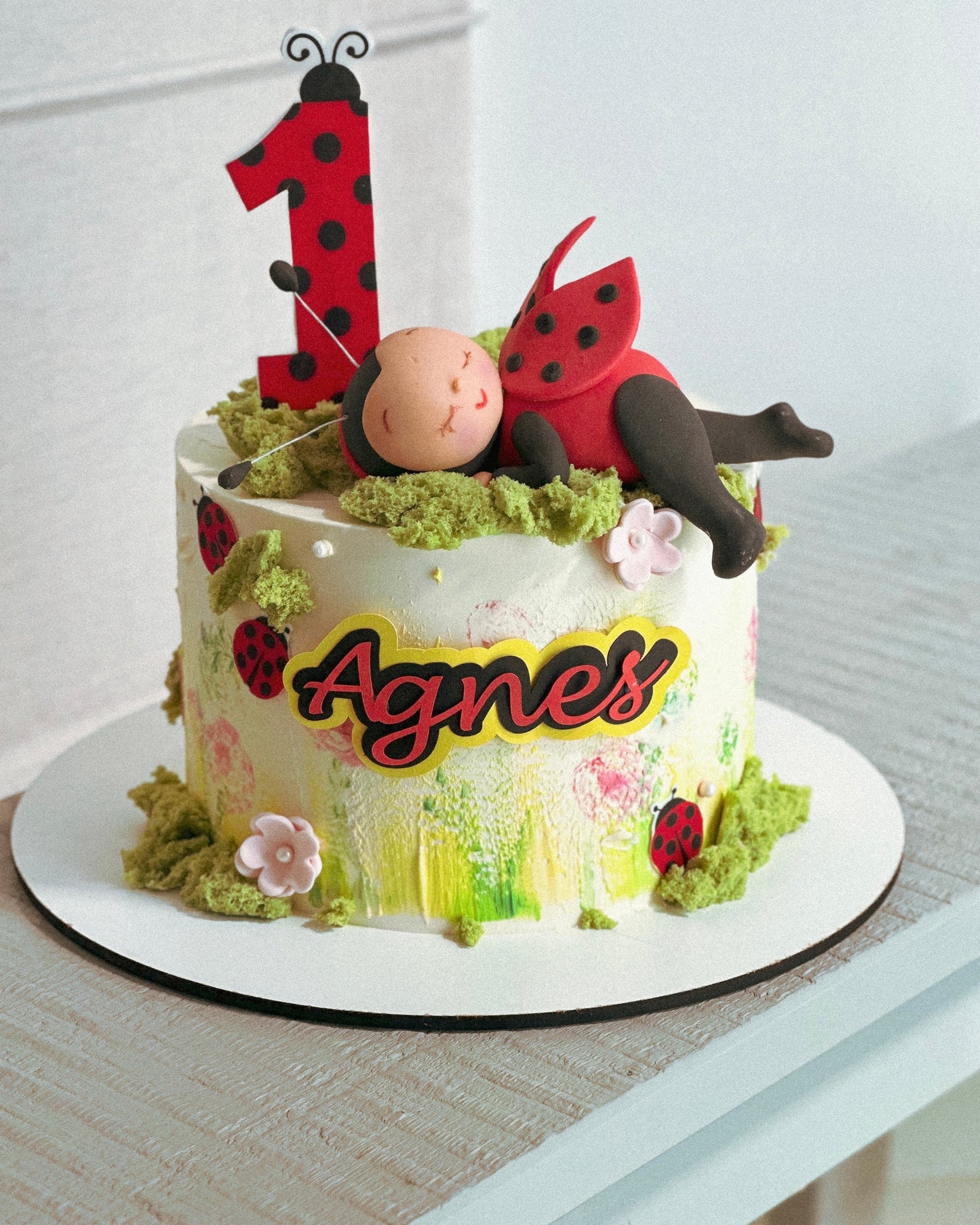 Ladybug