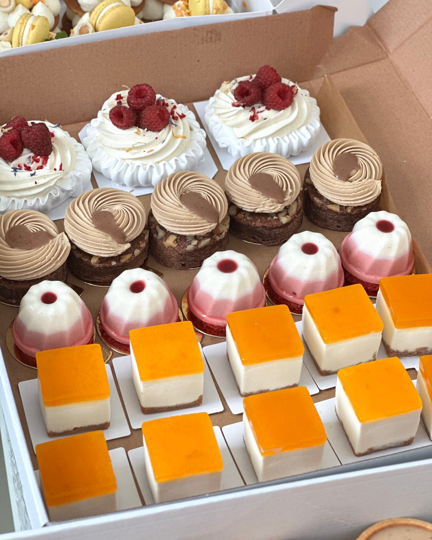 Party Box 20