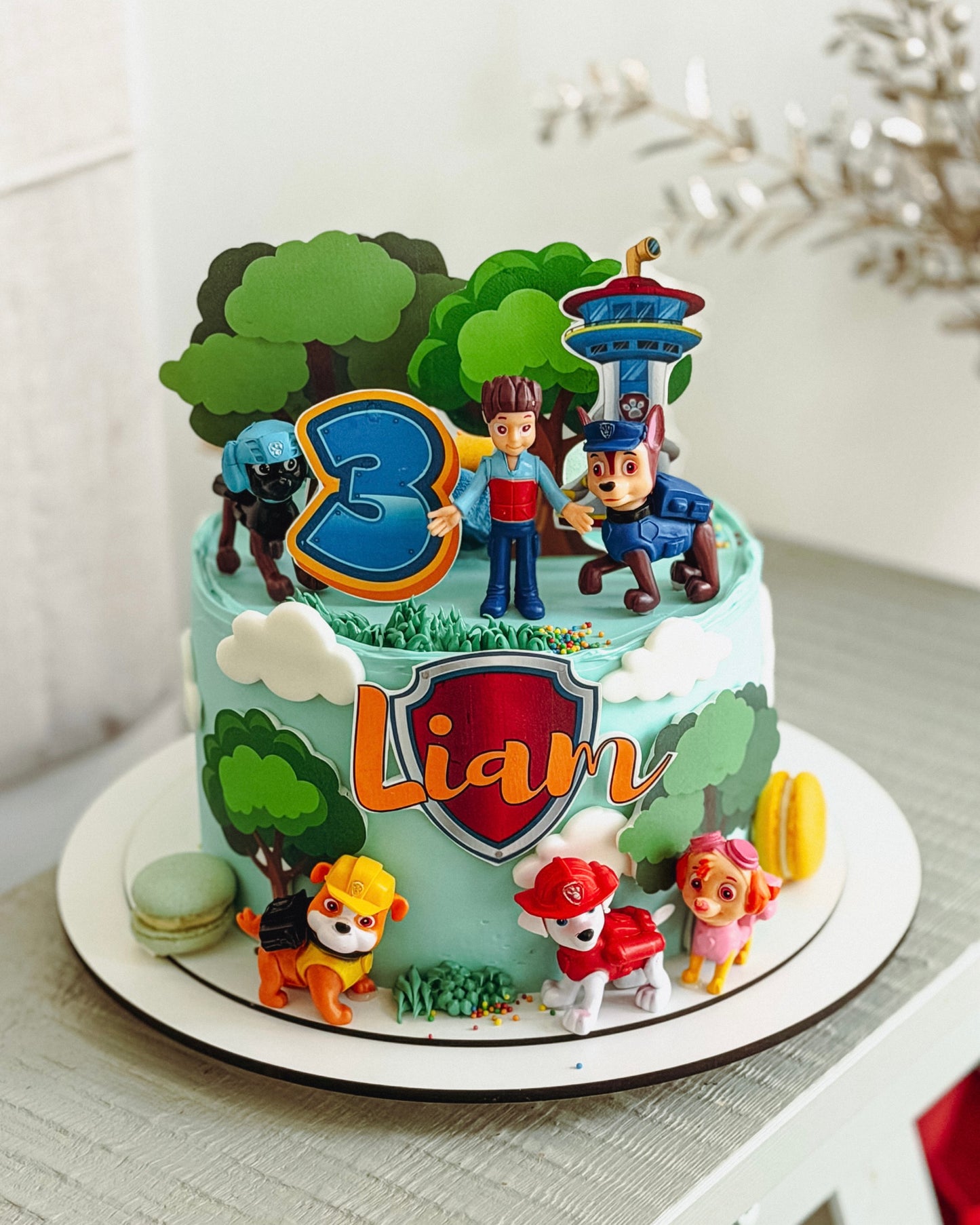Paw Patrol