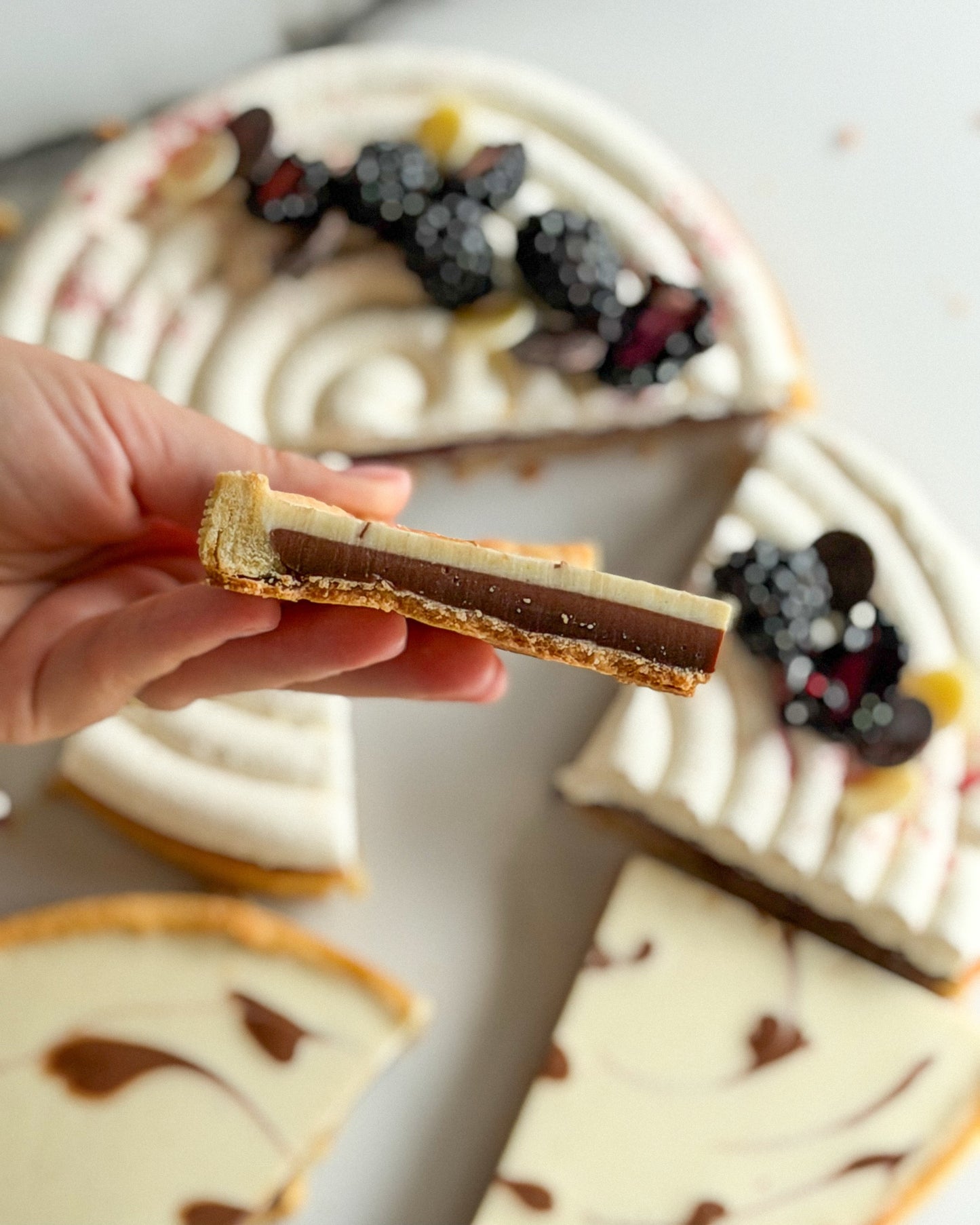 Tartă Panna Cotta Duo — Vanilie și Nutella